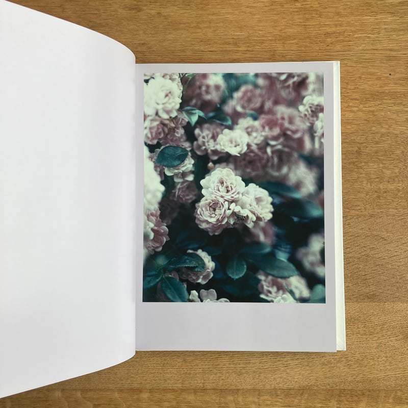 アート・デザイン・音楽 The Civil Dawns Darren Almond アート・デザイン・音楽 The Civil Dawns Darren Almond The