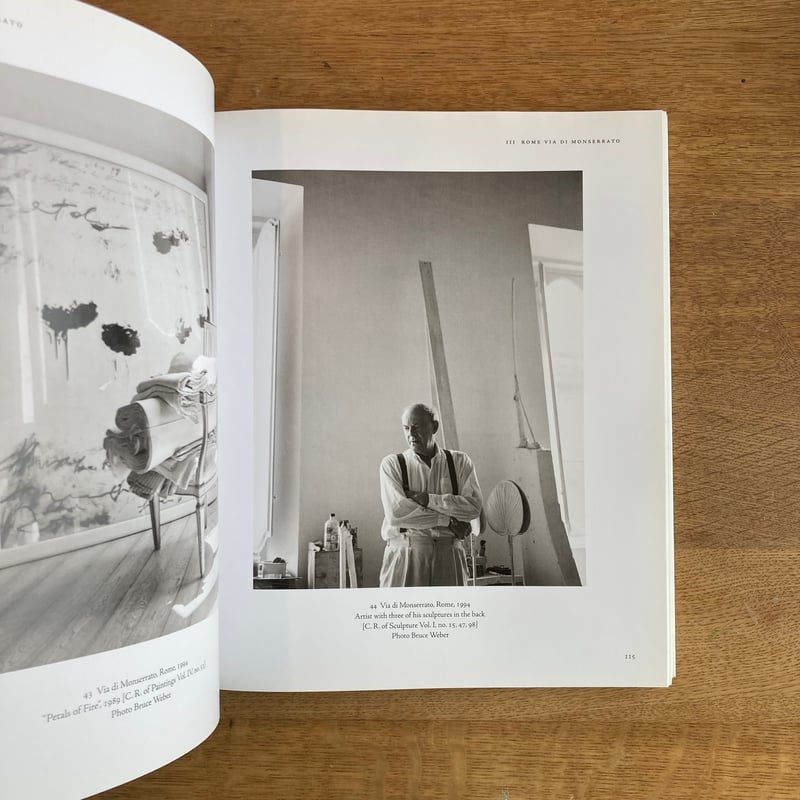 CY TWOMBLY ｜Homes & Studios | WHITEGREEN GALLERY