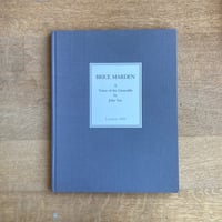 BRICE MARDEN ｜A Vision of the Unsayable by John Yan
