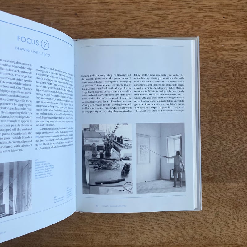 BRICE MARDEN | WHITEGREEN GALLERY