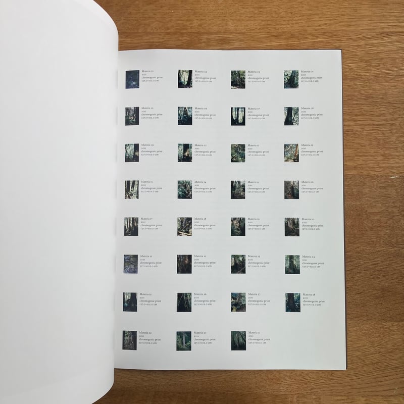 Yoshihiko Ueda｜Materia | WHITEGREEN GALLERY