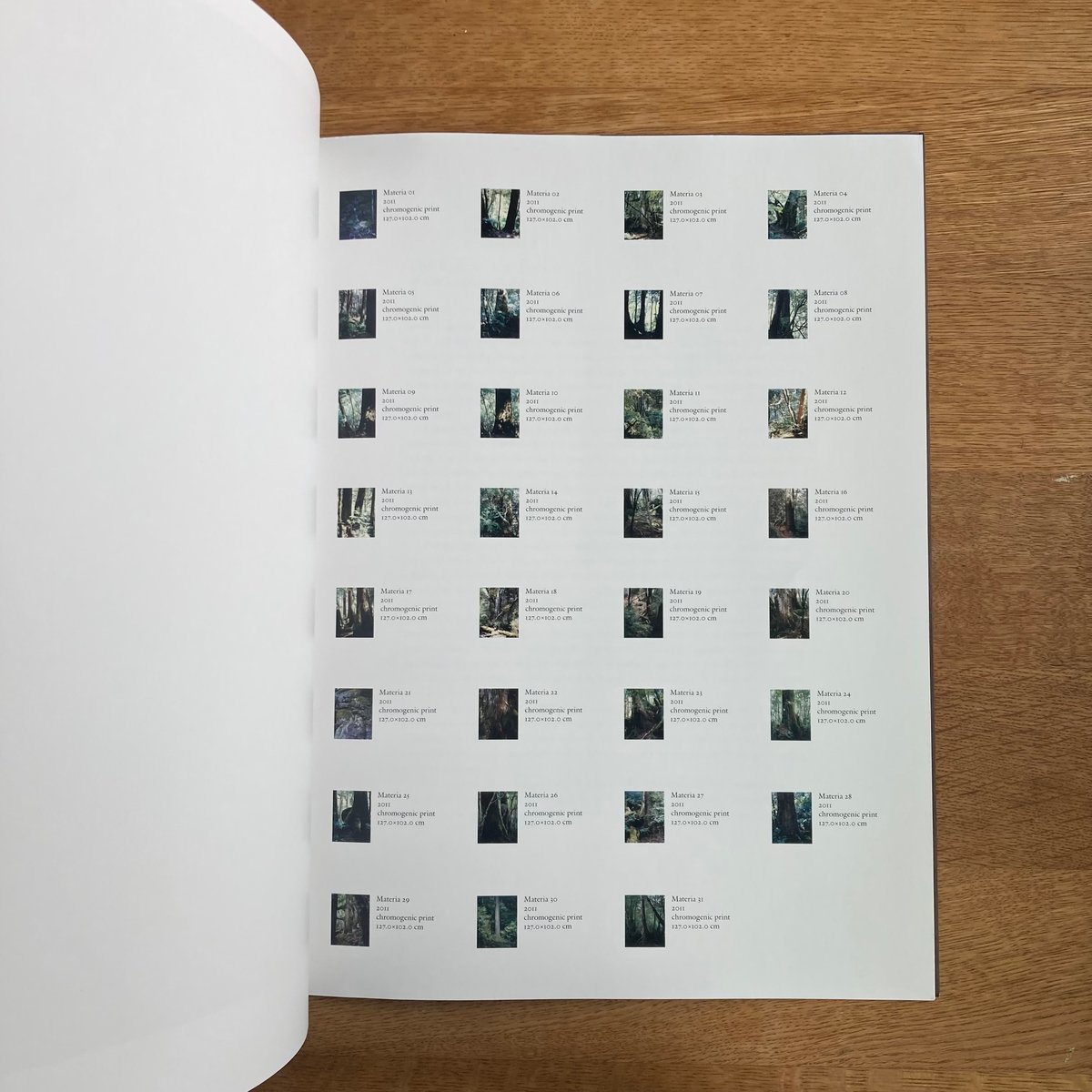 Yoshihiko Ueda｜Materia | WHITEGREEN GALLERY