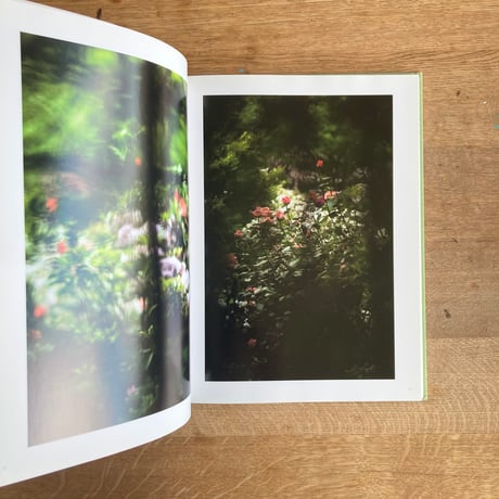 terri weifenbach｜ the may sun