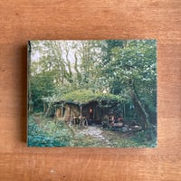 David Spero｜Settlements