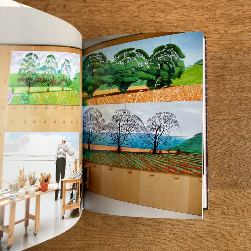 David Hockny｜A Chronology | WHITEGREEN GALLERY