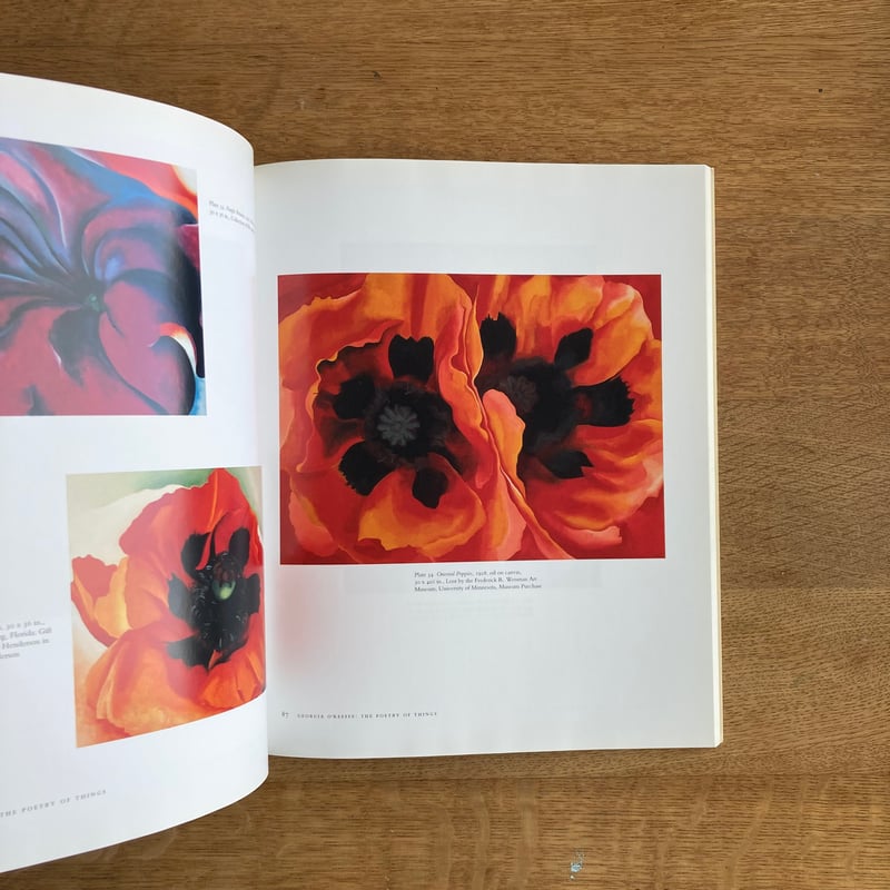 洋書 ジョージア・オキーフ 作品集 英語版 Giorgia O'Keeffe Amazon.co.jp: 洋書 Georgia O'Keeffeジョージア オキーフ 絵画