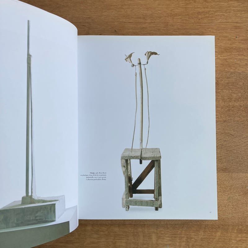 Cy Twombly サイ・トゥオンブリー Photographs 写真集 Amazon.co.jp: サイ・トゥオンブリーの写真―変奏のリリシズム
