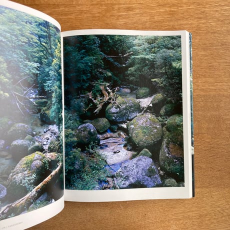 Yoshihiko Ueda｜Forest