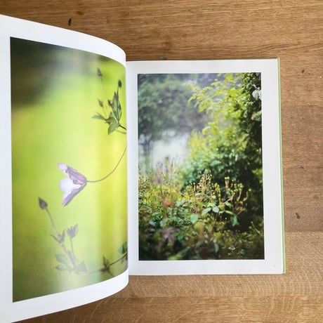 terri weifenbach｜ the may sun