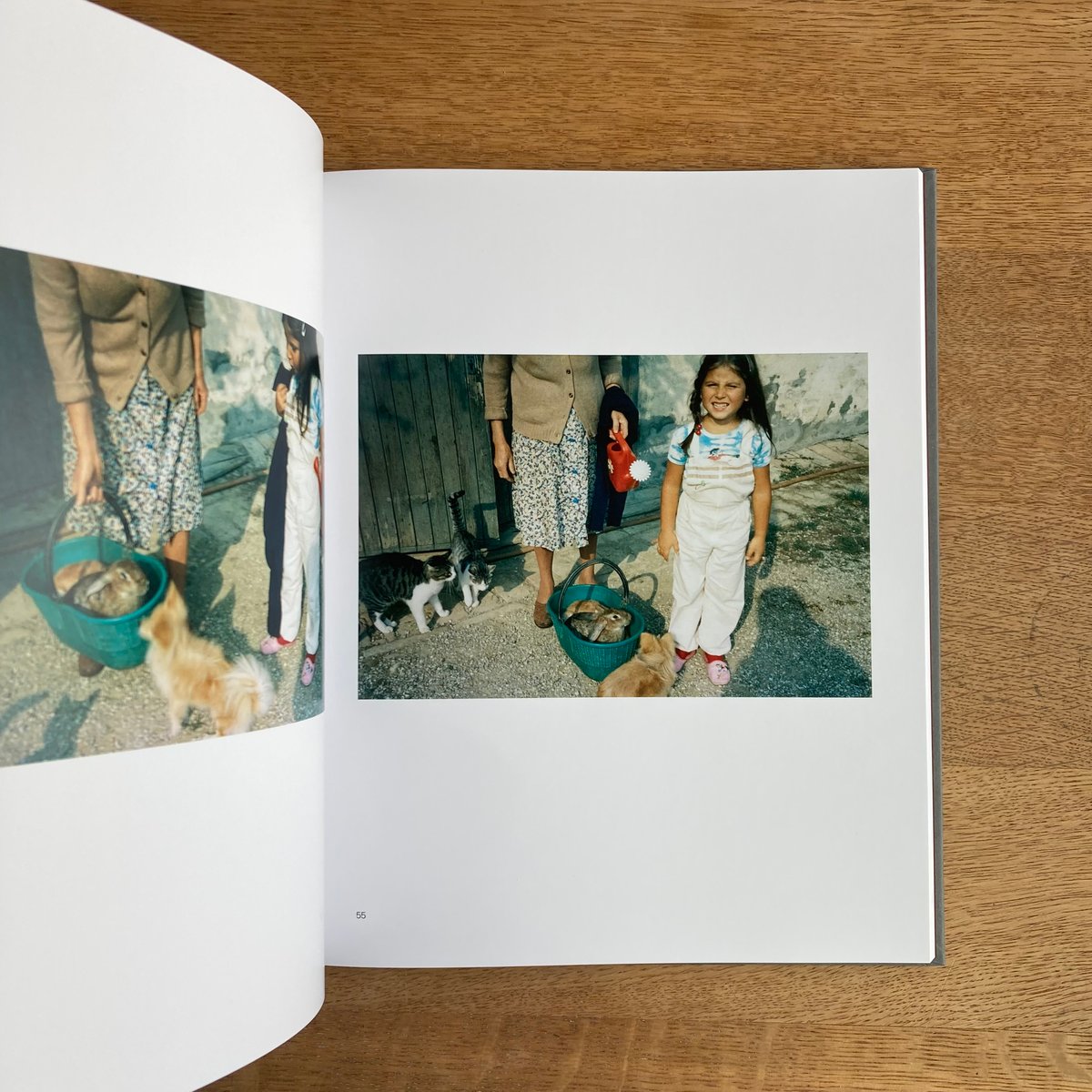 GUIDO GUIDI｜TRA L'ALTRO, 1976-81 | WHITEGREEN G