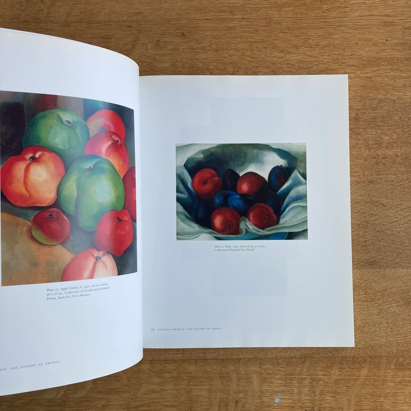 ジョージア・オキーフ 画集 洋書 2冊組 GEOGIA O'KEEFFE