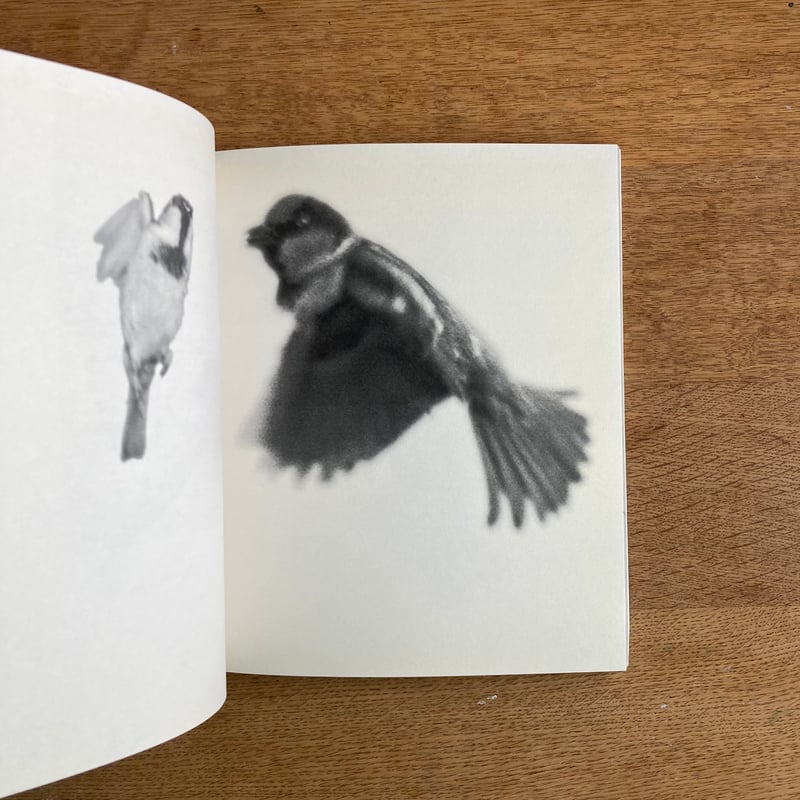 TERRI WEIFENBACH｜Centers of Gravity | WHITEGREE