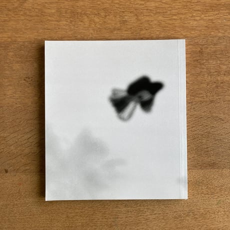 TERRI WEIFENBACH｜Centers of Gravity