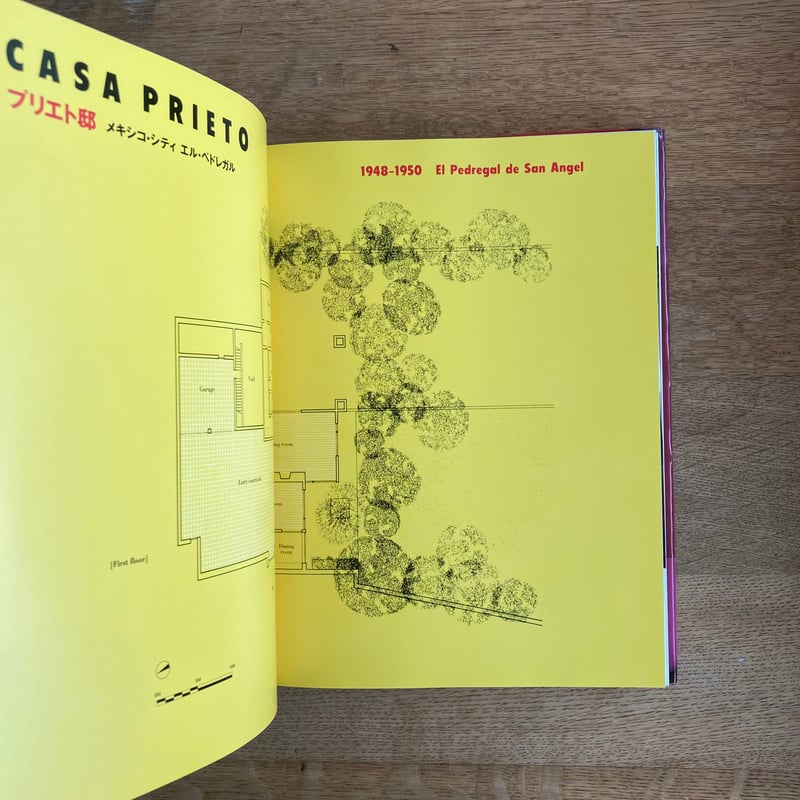 カーサ・バラガン CASA BARRAGAN｜斎藤 裕 | WHITEGREEN GALLERY