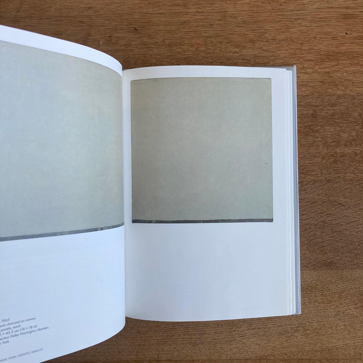 BRICE MARDEN | WHITEGREEN GALLERY