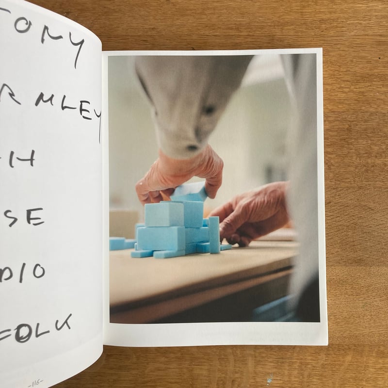 FRANCOIS HALARD 2 | WHITEGREEN GALLERY