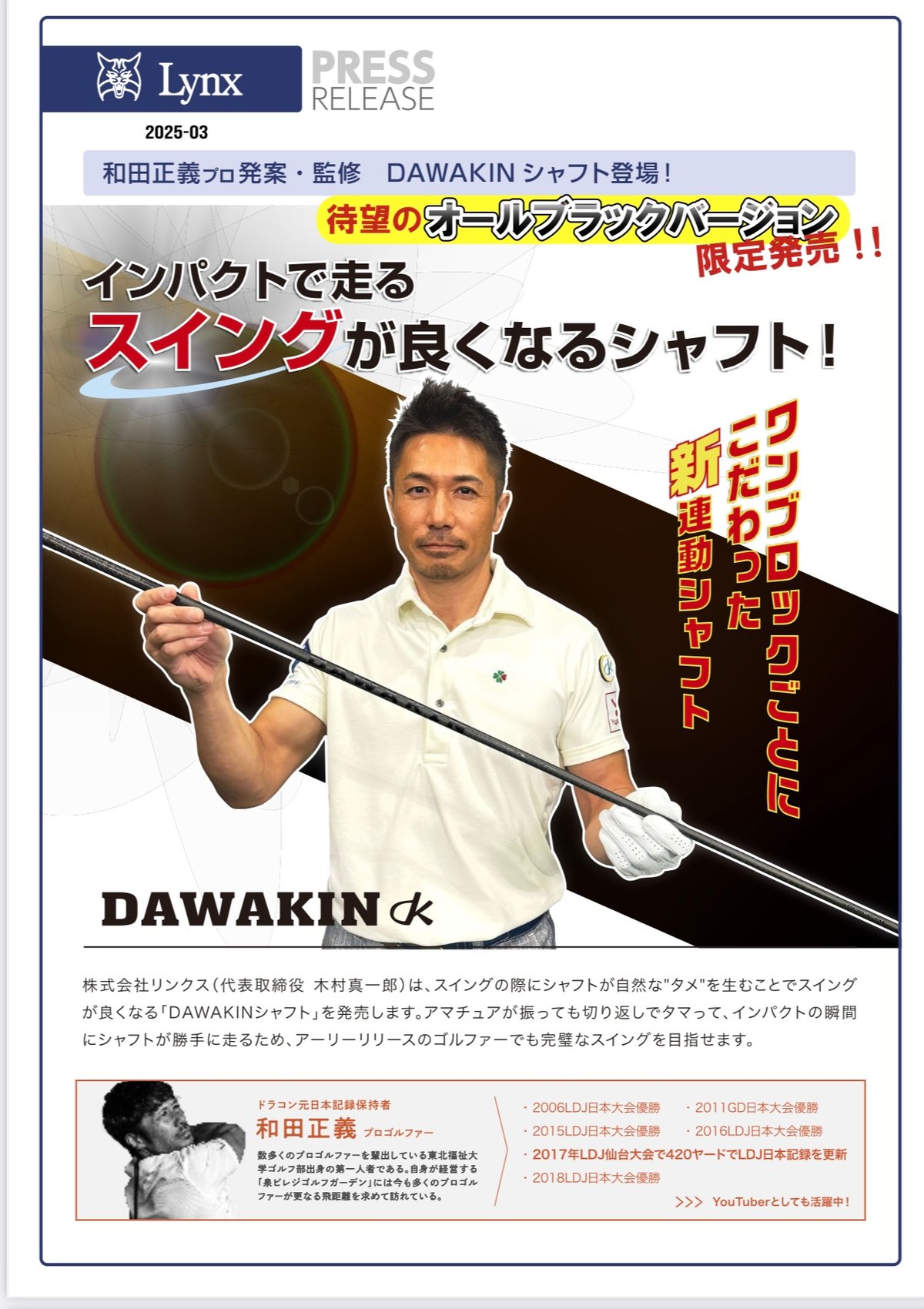 DAWAKIN IMPACT＋D Black Edition（数量限定モデル）（シャフト