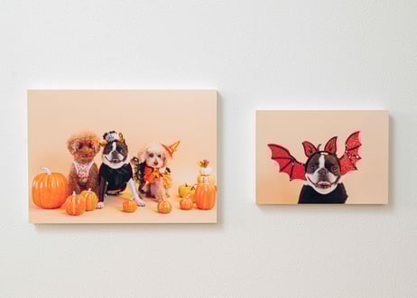 PHOTO PANEL A5サイズ