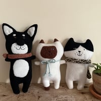 売約済み
