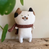 チャイちゃん