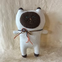 シャムちゃん