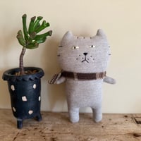 チャッピーちゃん