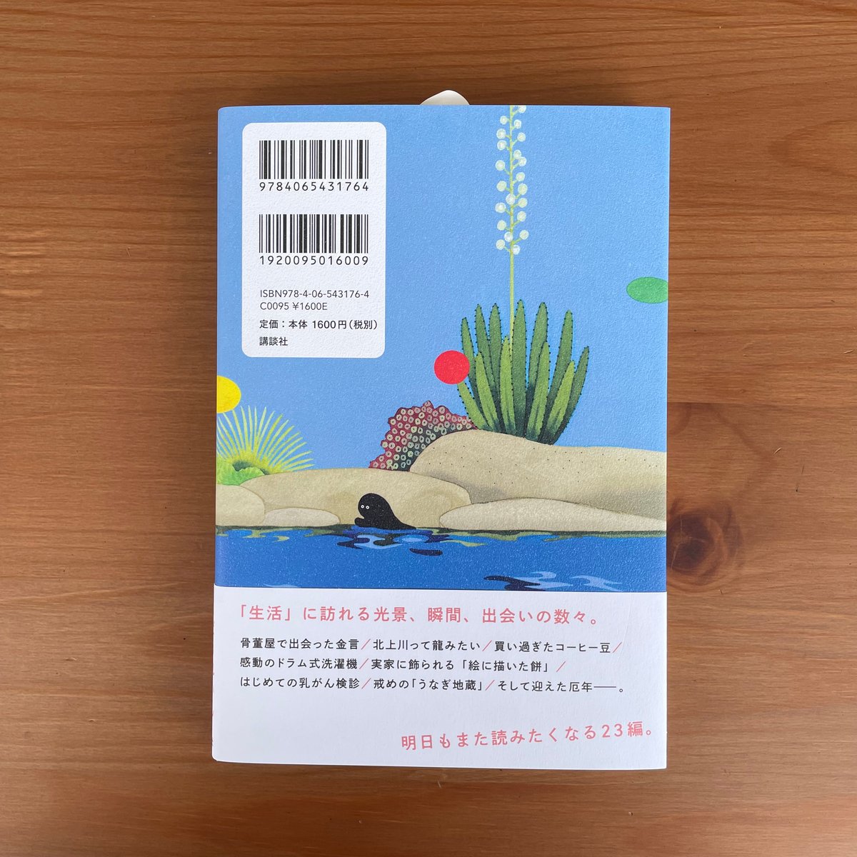 三十路の逆立ち ＊通常本（サイン本は終了しました） | 本屋lighthouse