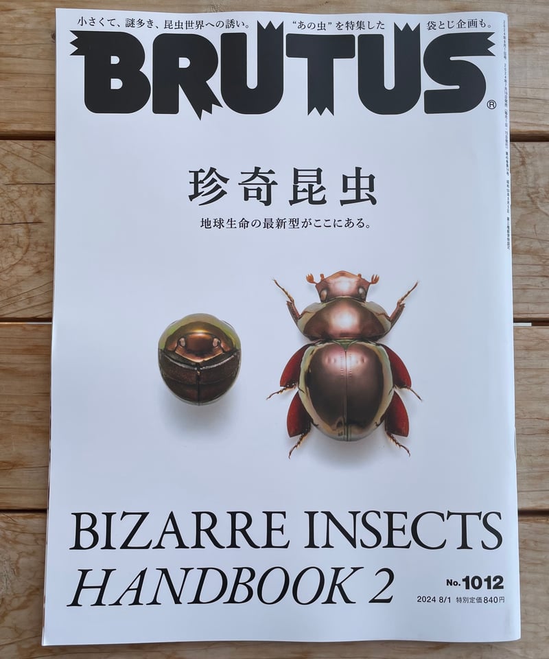 BRUTUS ブルータス 2021年 12/15号 No.952 珍奇昆虫 BRUTUS(ブルータス) 2021年 12月15日号 No.952[珍奇昆虫] |本