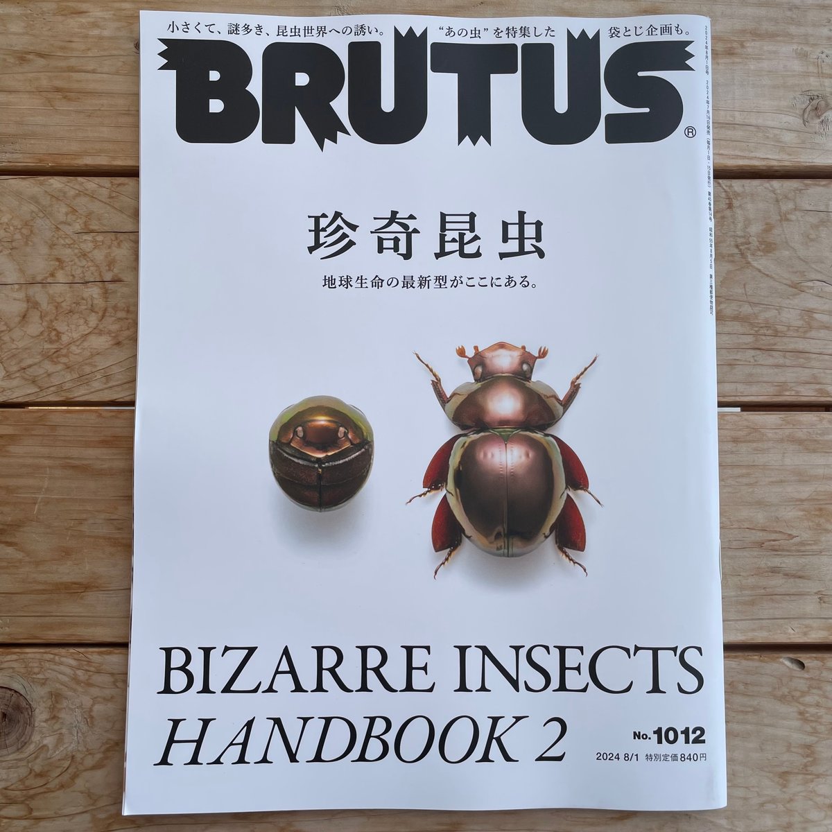 BRUTUS (ブルータス) 2024年8/1号 特集:珍奇昆虫2 | 本屋lighthouse BRUTUS (ブルータス) 2024年8/1号 特集:珍奇昆虫2 | 本屋lighthouse