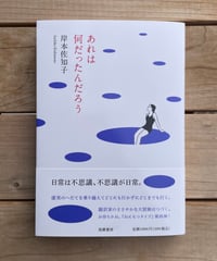 [再入荷待ち]あれは何だったんだろう