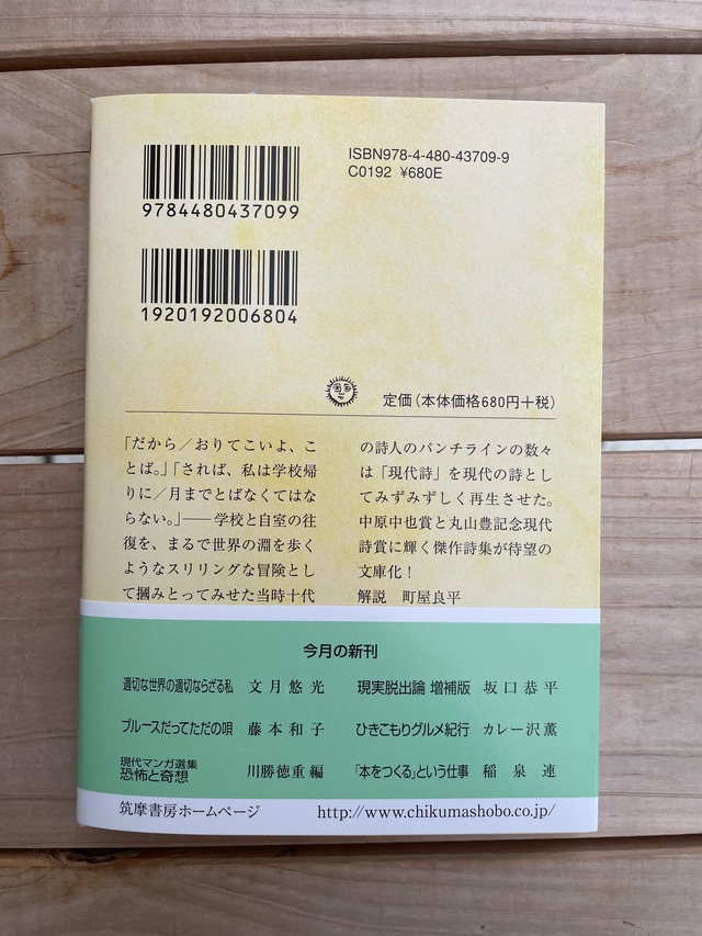【A105】詩集<青>/大石ゆう子/めだか叢書 A105】詩集<青>/詩集 大石ゆう子/めだか叢書 A105】詩集<青>/大石