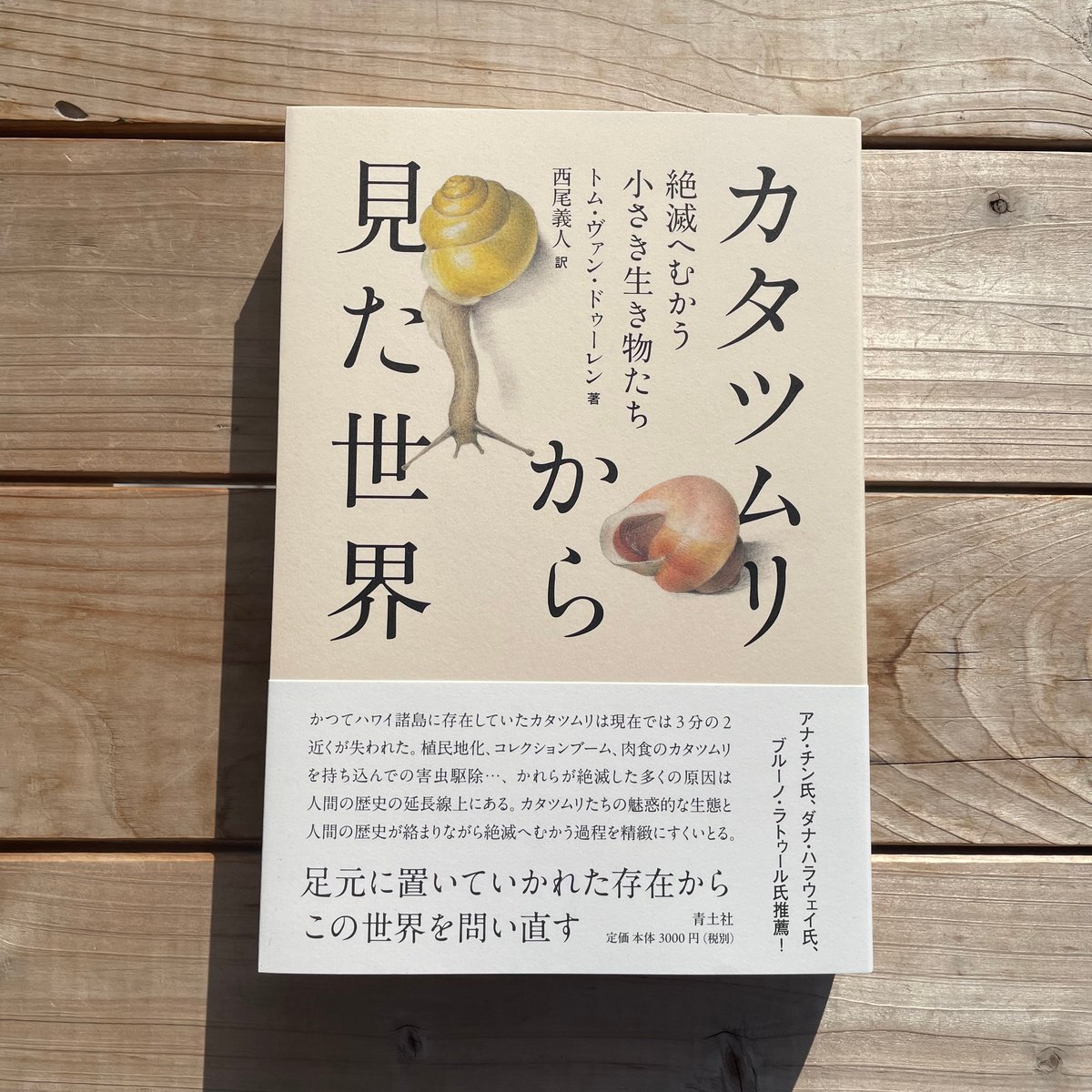 カタツムリから見た世界 | 本屋lighthouse