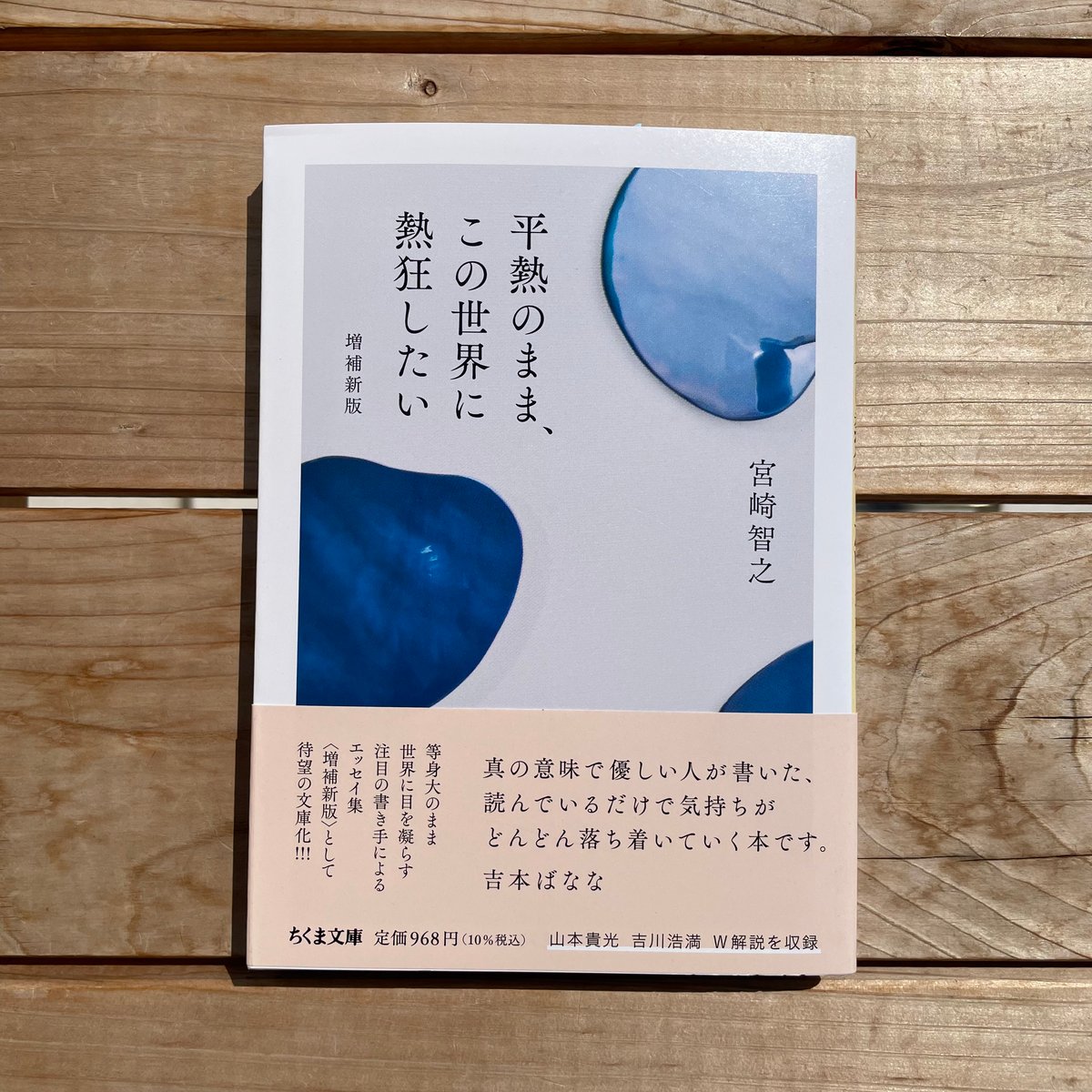 平熱のまま、この世界に熱狂したい　文庫