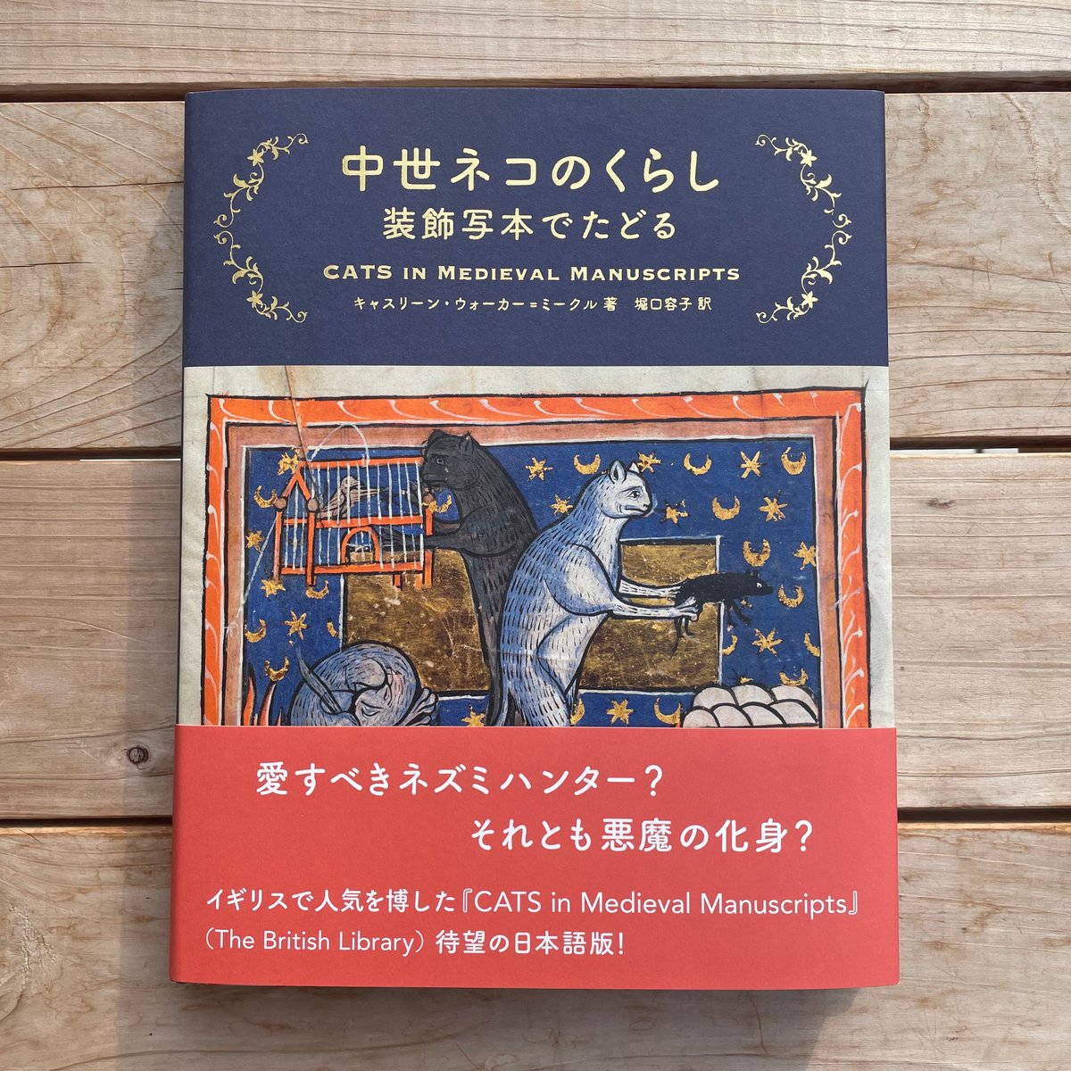 中世ネコのくらし 装飾写本でたどる | 本屋lighthouse