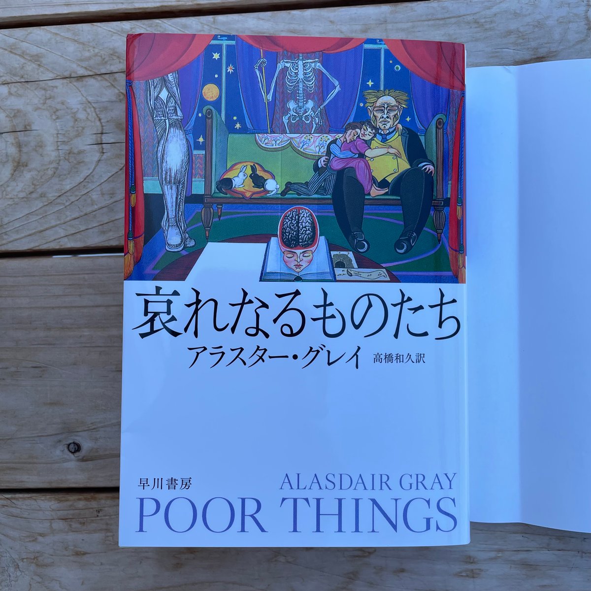 哀れなるものたち 文庫 | 本屋lighthouse