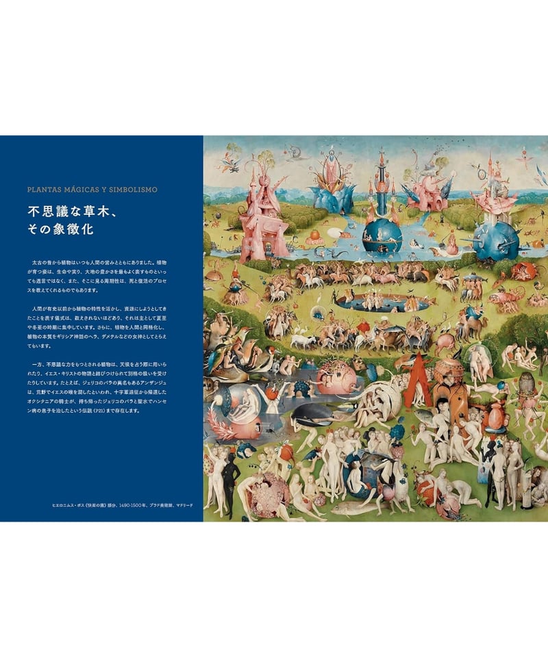 【希少】薬草の知識と効用 植物の不思議なちから 古代から語りつがれる72の物語 | 本屋lighthouse