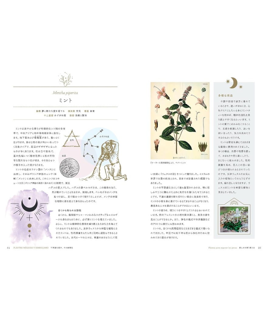 植物の不思議なちから 古代から語りつがれる72の物語 | 本屋lighthouse