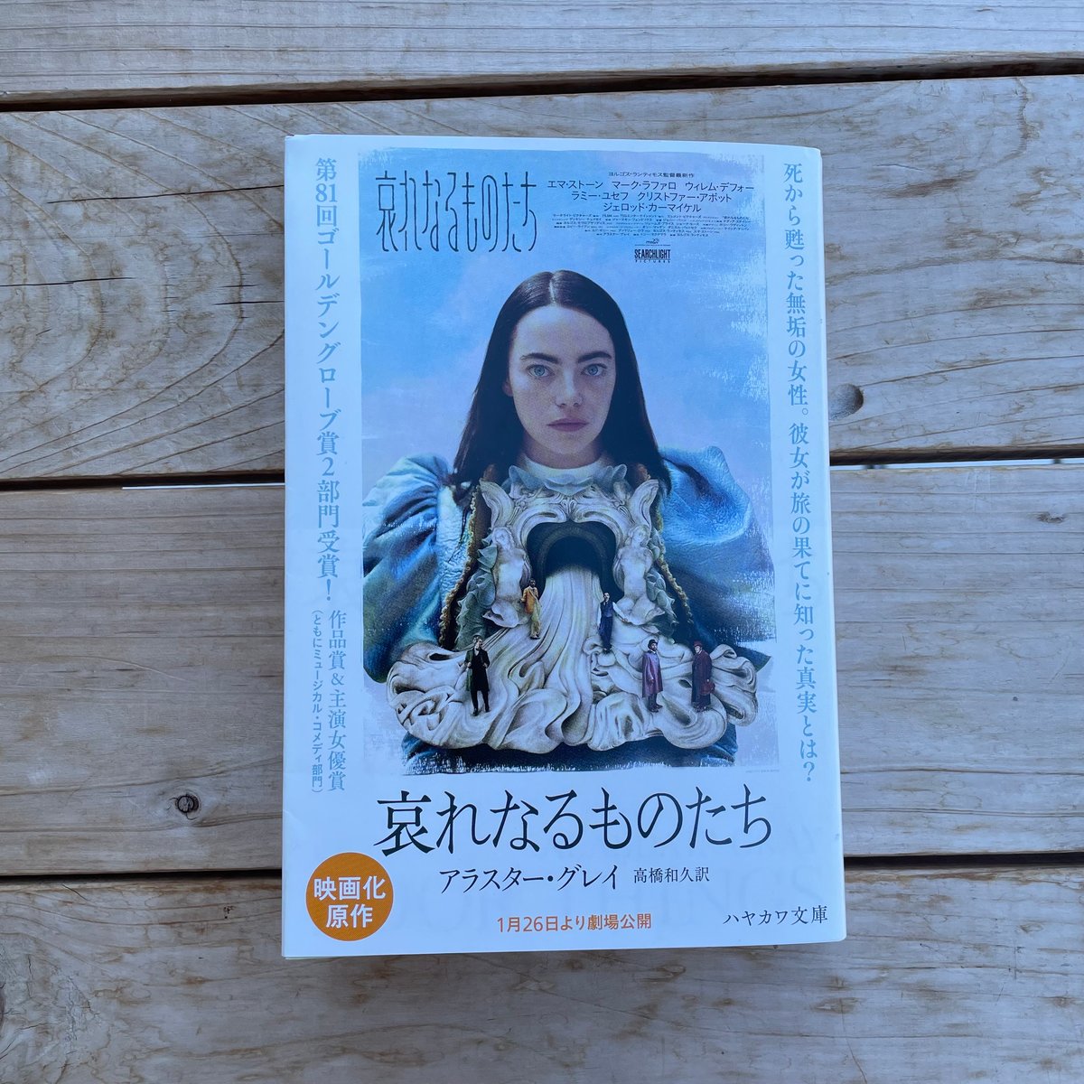 哀れなるものたち 文庫 | 本屋lighthouse