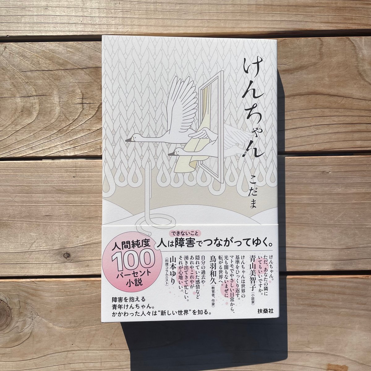 けんちゃん | 本屋lighthouse