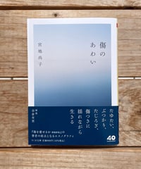 傷のあわい　文庫