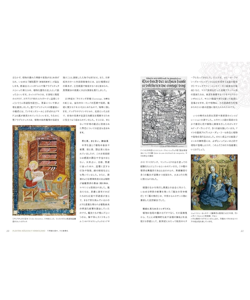 【希少】薬草の知識と効用 植物の不思議なちから 古代から語りつがれる72の物語 | 本屋lighthouse