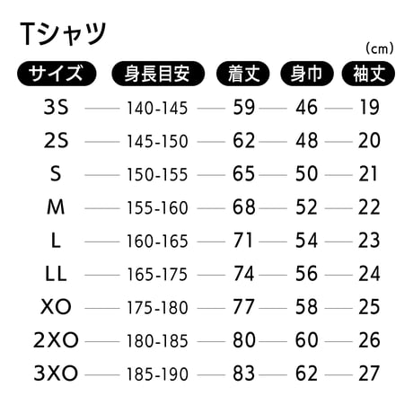 26-27U12公式ウェア-HSS- Tシャツ＜WH＞