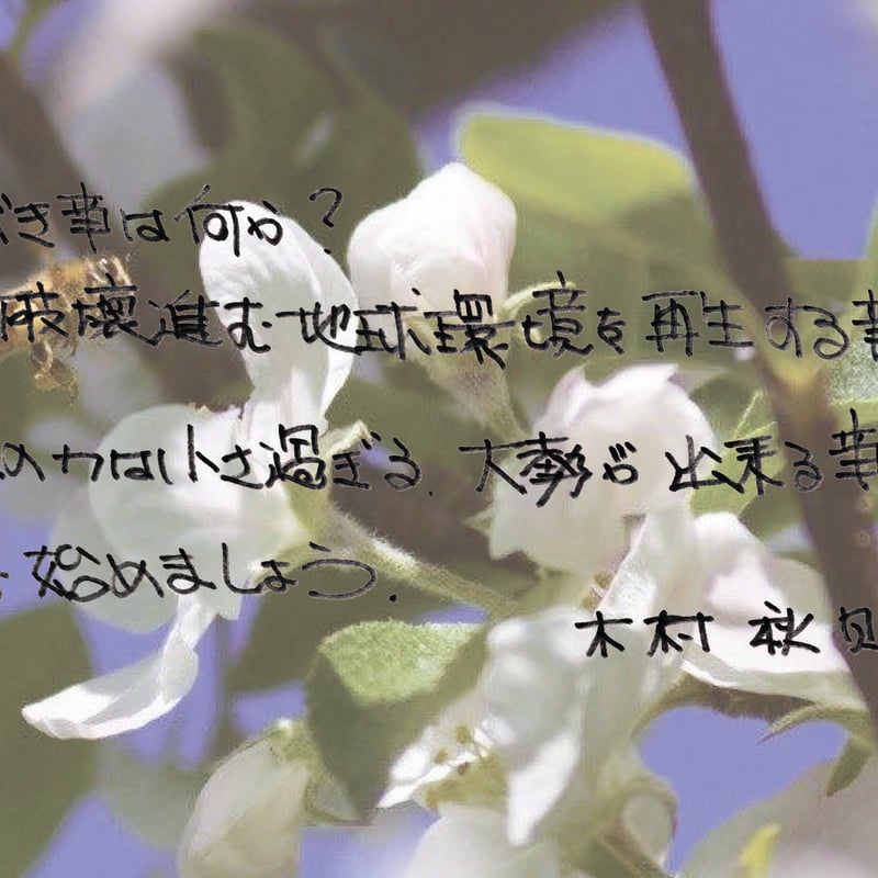 大西麻由『自然栽培讃歌 農業ルネサンス』 | BLUE FOREST MUSIC STORE