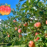 Chico Rena Farm