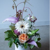 arrangement  S 5500 (配送,配達)