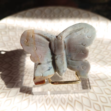 オーシャンジャスパー | STORES