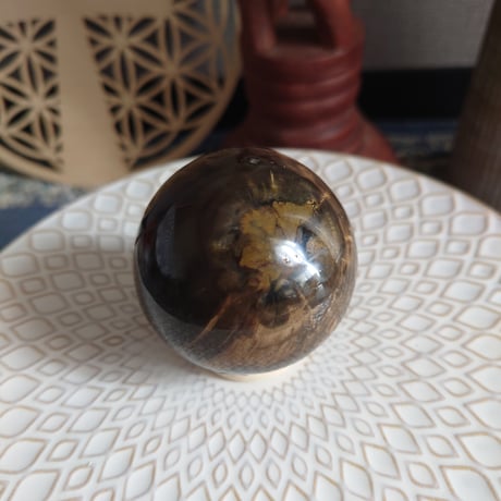 ペトリファイドウッド | STORES