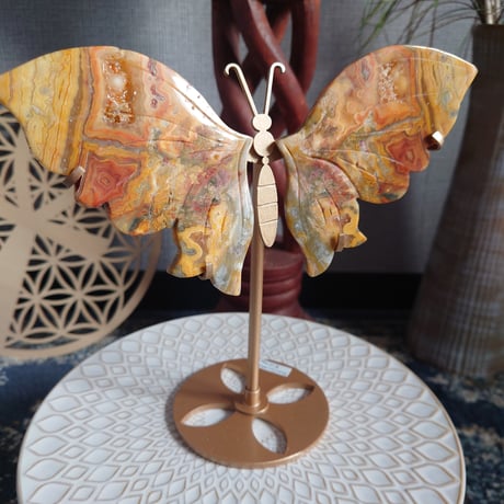 クレイジーレースアゲート | STORES