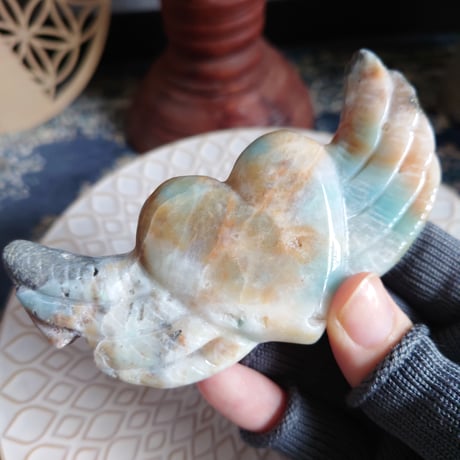 カリビアンカルサイト | STORES