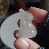 クリスタル🐺